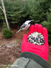 Load image into Gallery viewer, Foxgloves Gardening Gloves <i>Original</i>