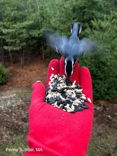 Load image into Gallery viewer, Foxgloves Gardening Gloves <i>Original</i>