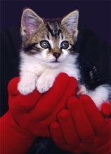 Load image into Gallery viewer, Foxgloves Gardening Gloves <i>Original</i>