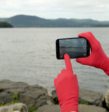 Load image into Gallery viewer, eGlove